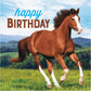 Horse and Pony Wild Horse Happy Birthday Napkins - 16ct