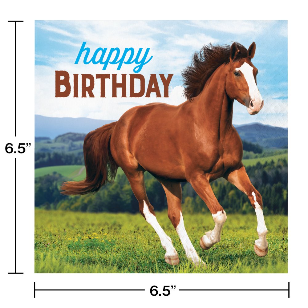 Horse and Pony Wild Horse Happy Birthday Napkins - 16ct