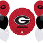 University of Georgia Party Supplies Bundle | UGA Plates | UGA Napkins | UGA Cups | UGA Table Cover | UGA Balloons