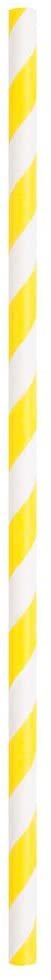 Assorted Striped Paper Smoothie Straws - 40 Pcs