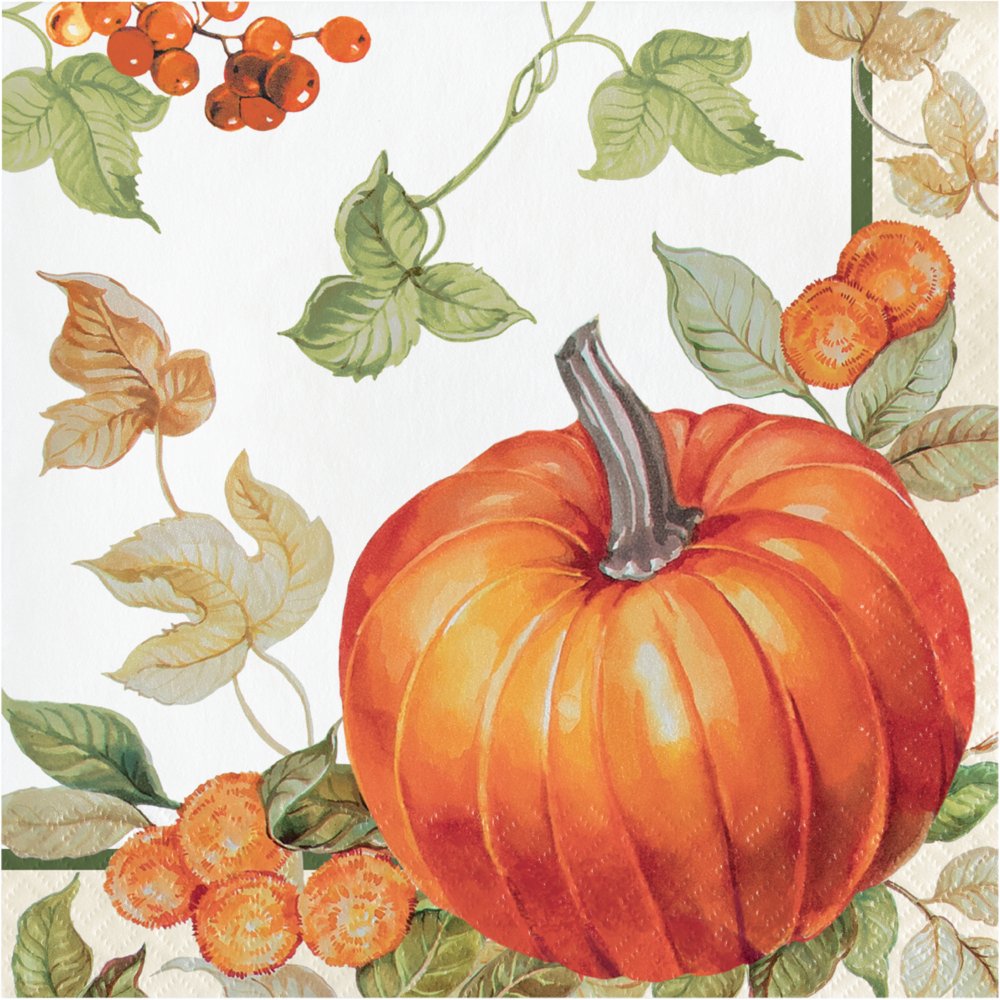 Pumpkin Harvest Luncheon Napkins - 16ct